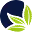CBDpaschere.com